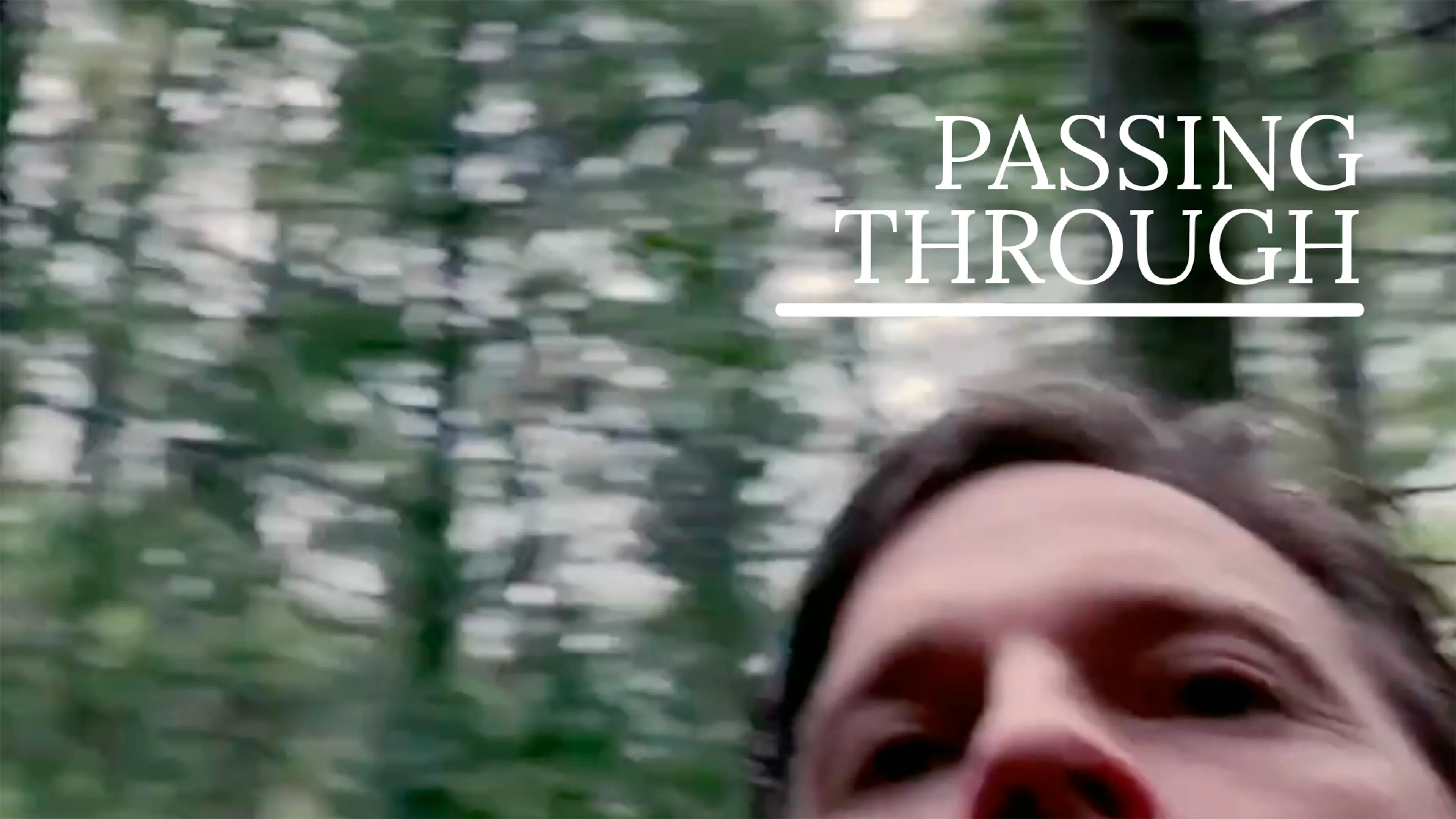 Passing Through poster
